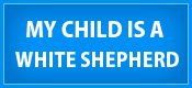 White Shepherd puppy